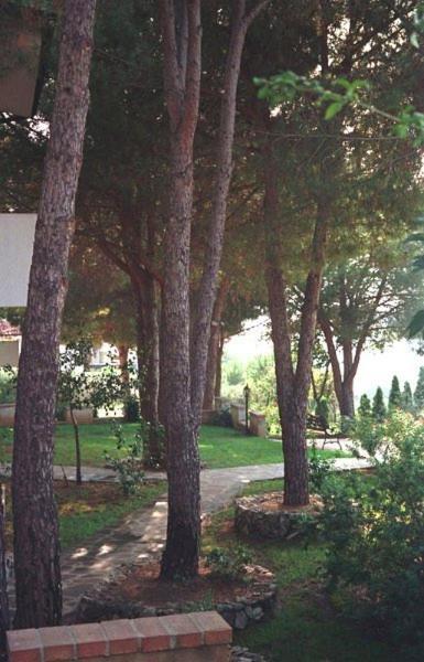 Villaggio Pineta Petto Bianco Капо-Ватикано Екстер'єр фото