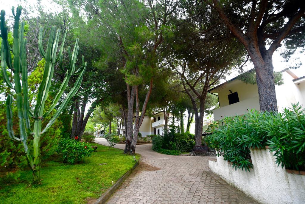 Villaggio Pineta Petto Bianco Капо-Ватикано Екстер'єр фото